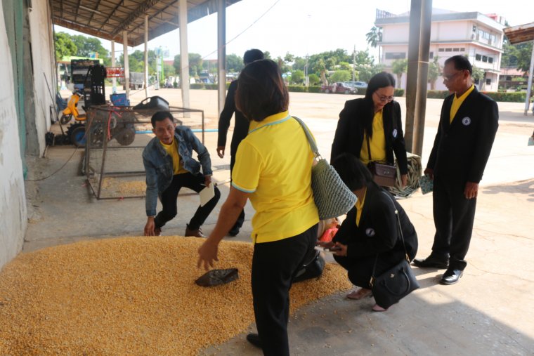 เมื่อวันที่ 7 พ.ย. 62 นายอุบล อรรคบุตร ประธานกรรมการ และนายกฤษณา สร้อยแสง ผู้จัดการ และทีมงานสหกรณ์การเกษตรรัตนบุรี จำกัด ได้เดินทางไปศึกษาดูงานโครงการดูงานสำหรับบุคลากรสหกรณ์ ที่สหกรณ์การเกษตรขามสะแกแสง จำกัด อำเภอขามสะแกแสง จังหวัดนครราชสีมา โดยมีหัวข้อ