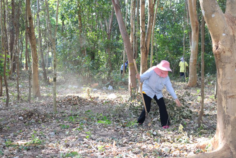 ภาพกิจกรรมบำเพ็ญสาธารณประโยชน์ "เราทำความดีด้วยหัวใจ" เมื่อวันที่ 5 ธันวาคม 2562 ณ โรงเรียนบ้านไผ่(วันครู 2503) สหกรณ์การเกษตรรัตนบุรี จำกัด นำโดยนายอุบล อรรคบุตร ตำแหน่งประธานกรรมการ กรรมการ และเจ้าหน้าที่ได้ไปร่วมกิจกรรมบำเพ็ญสาธารณประโยชน์
